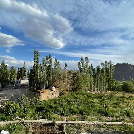The Willow House Leh Luaran gambar