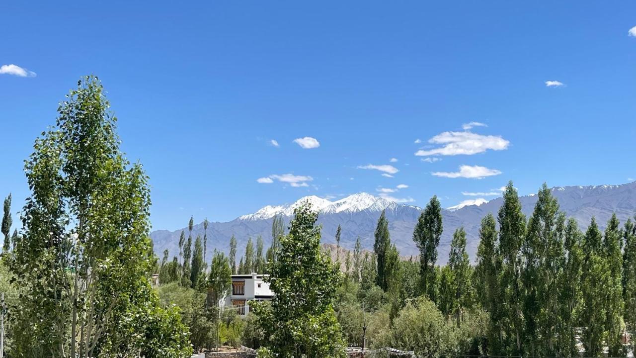 The Willow House Leh Luaran gambar