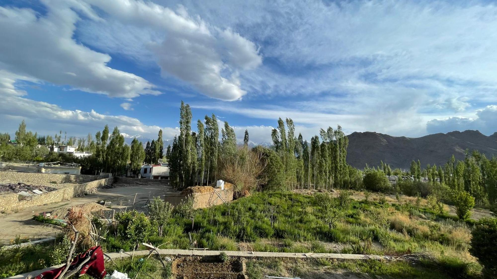 The Willow House Leh Luaran gambar