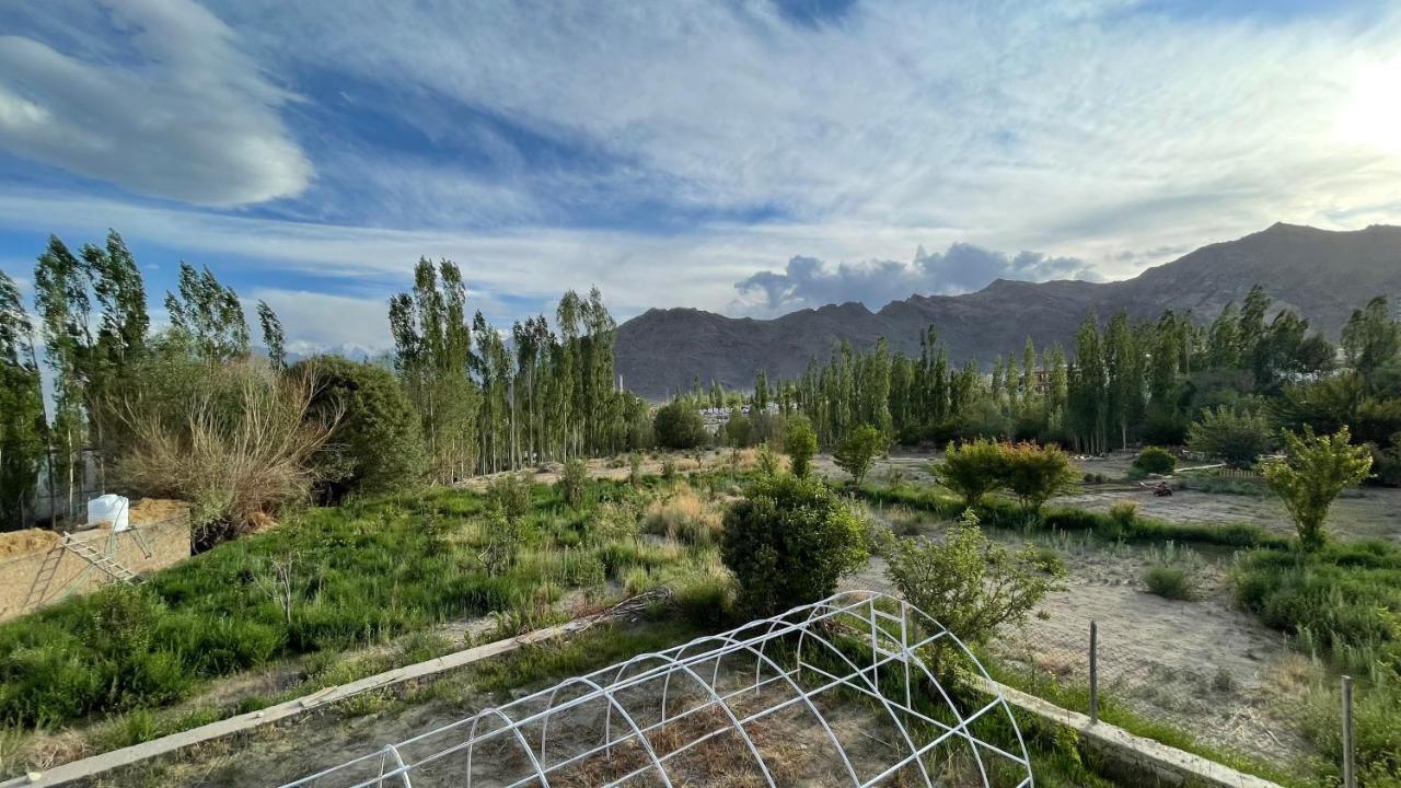 The Willow House Leh Luaran gambar