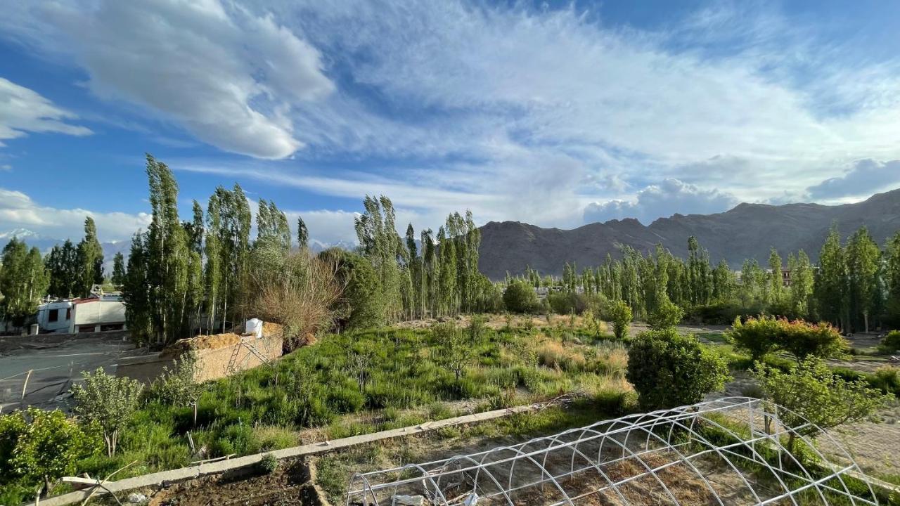 The Willow House Leh Luaran gambar