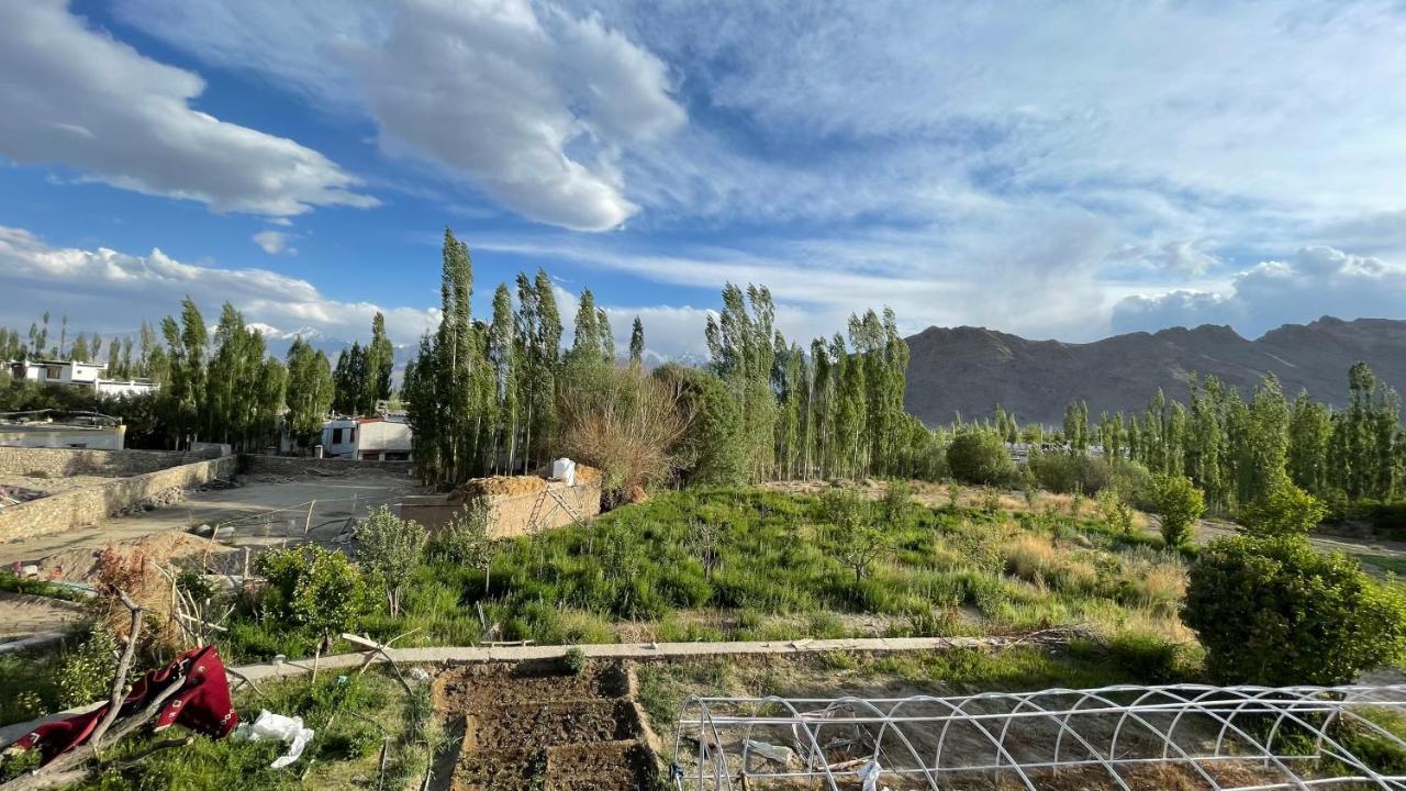 The Willow House Leh Luaran gambar