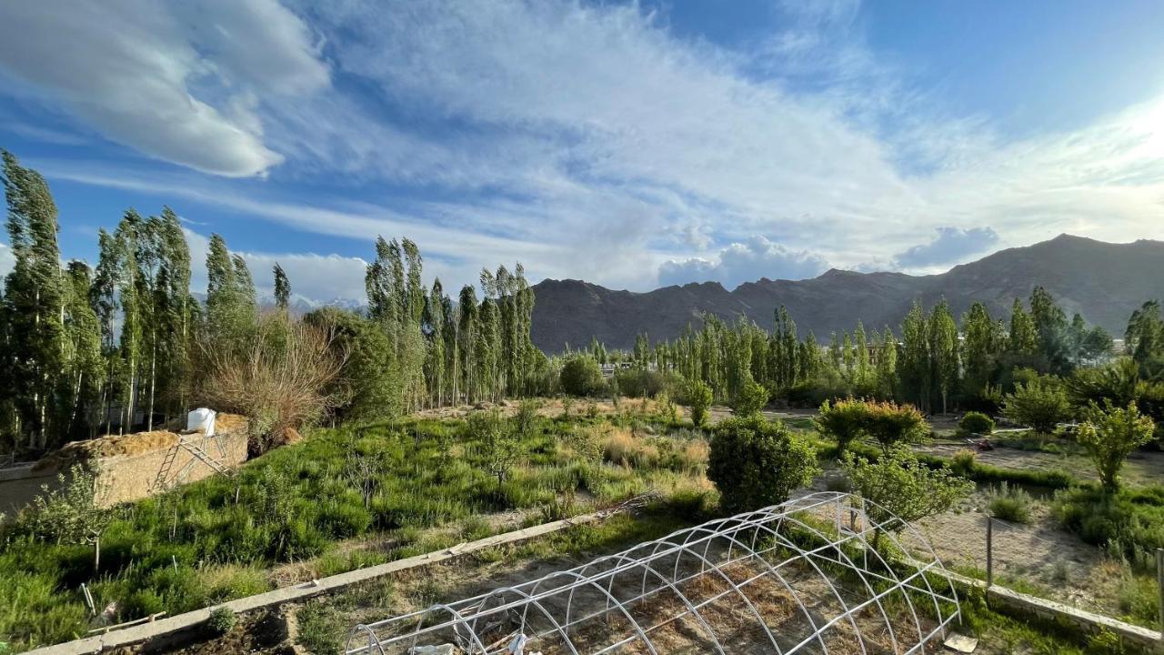 The Willow House Leh Luaran gambar