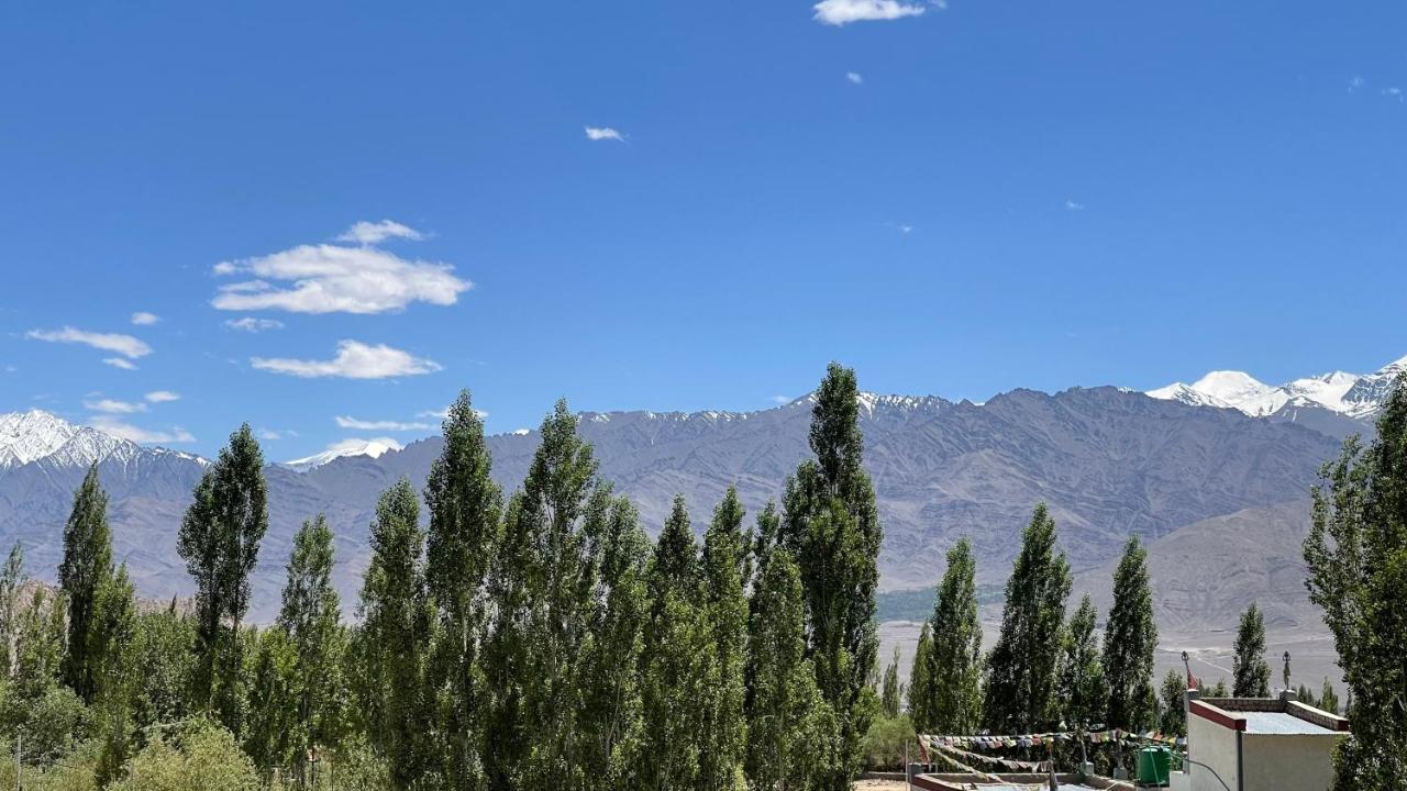 The Willow House Leh Luaran gambar